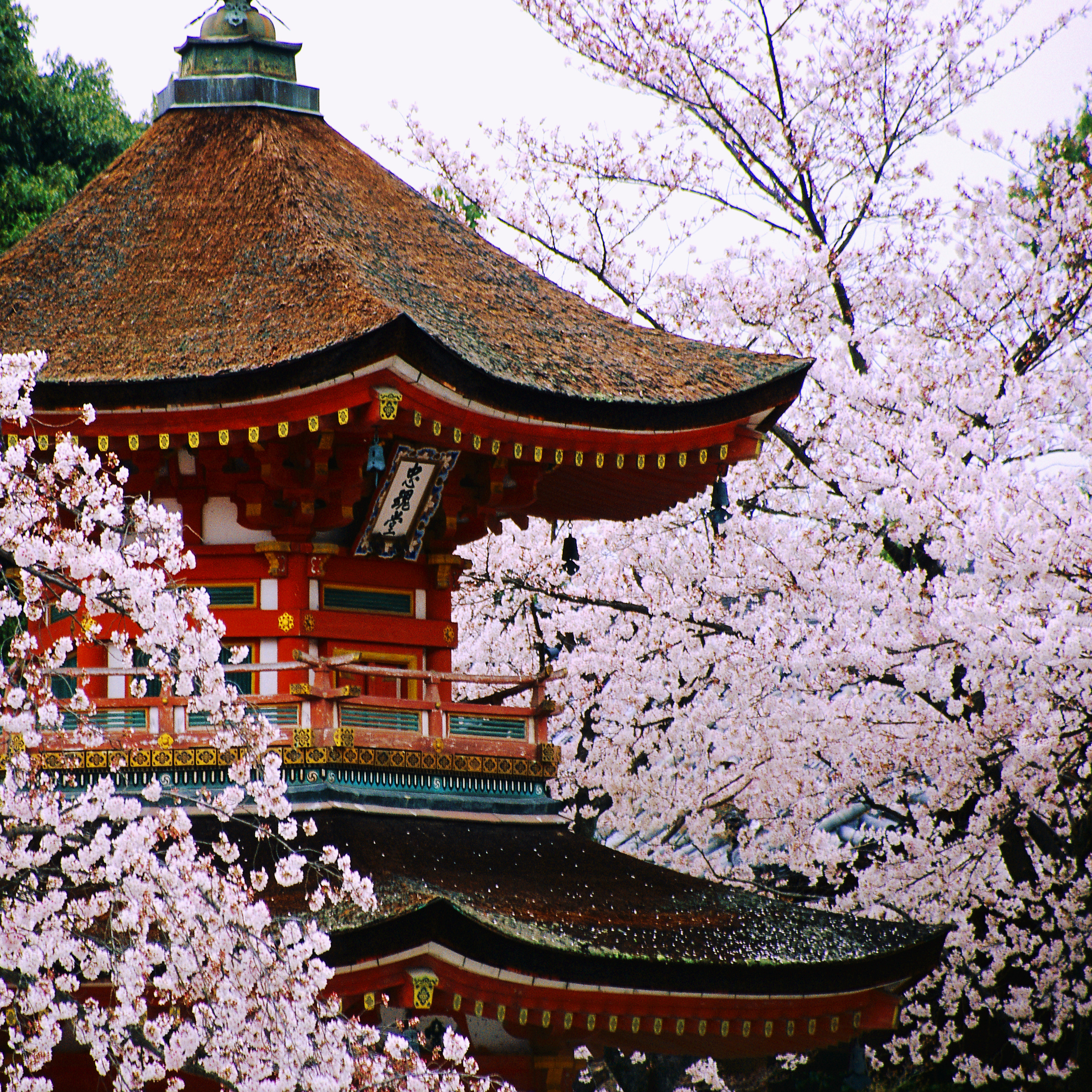 中国 - 传统与现代