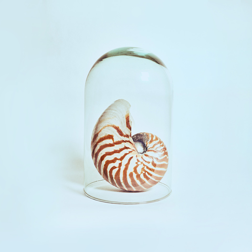 奇幻教室：海底世界