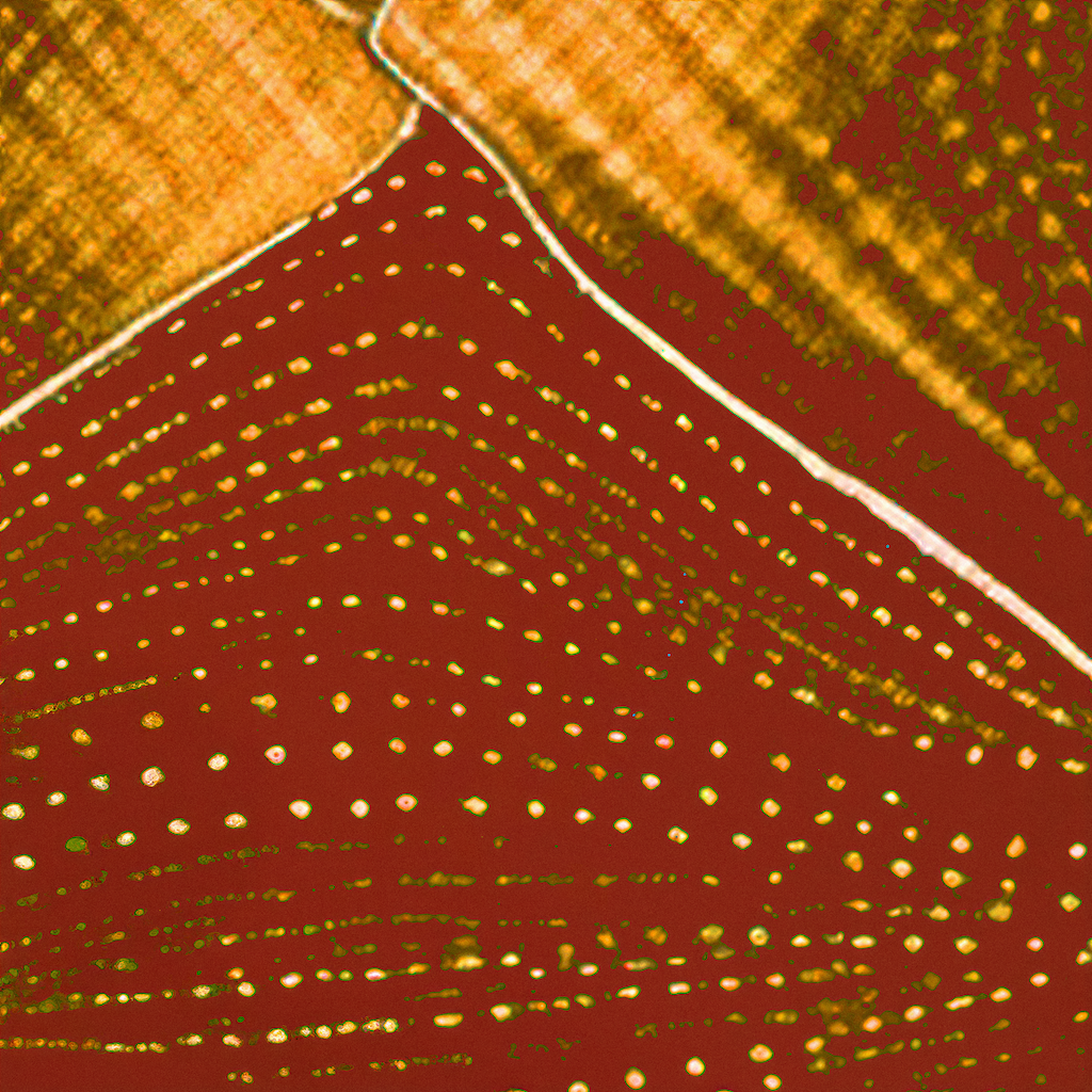 Global African Circuit