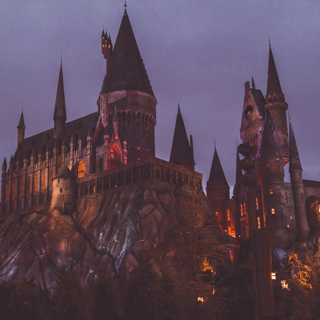 Harry Potter (Fan of)