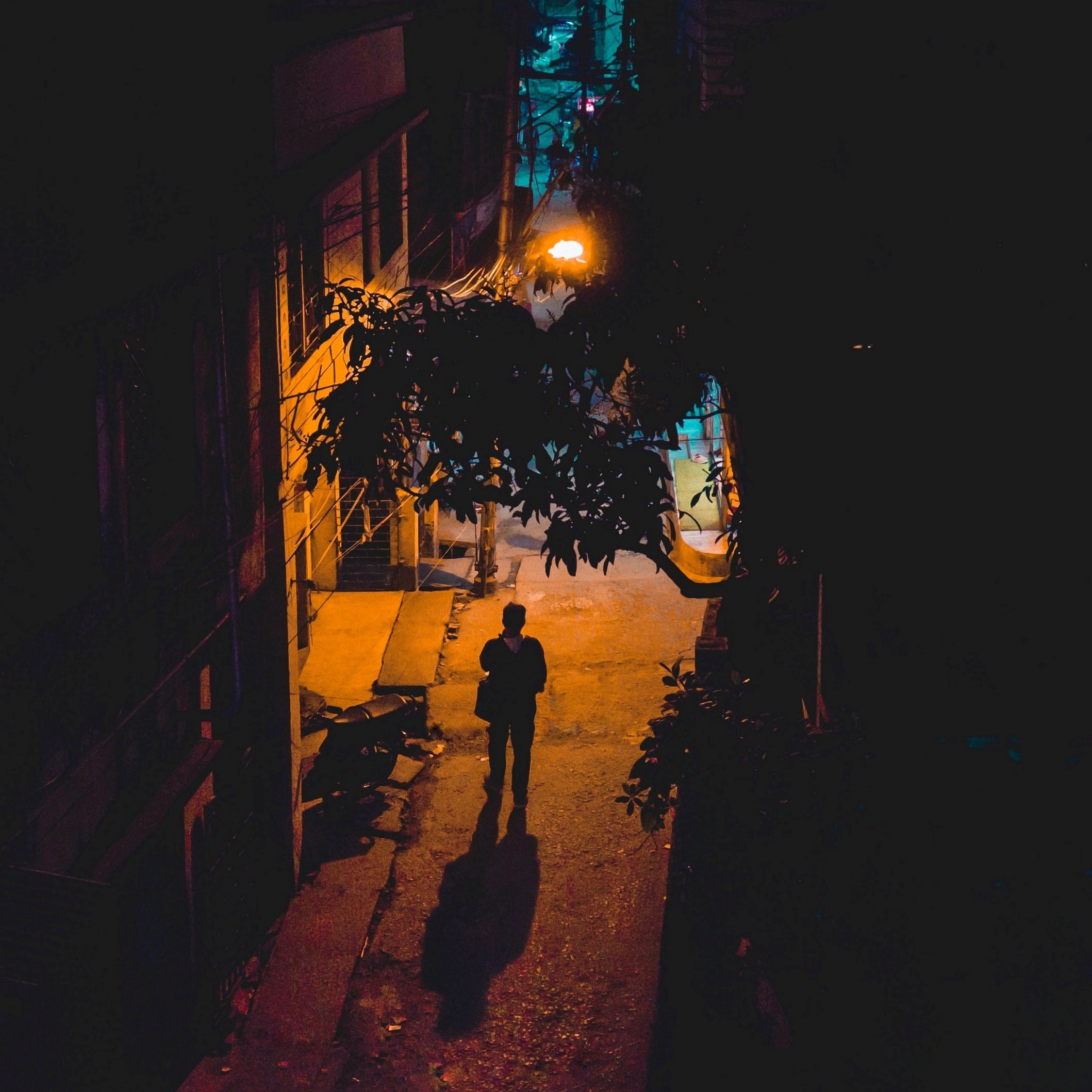 恐怖惊悚片预告