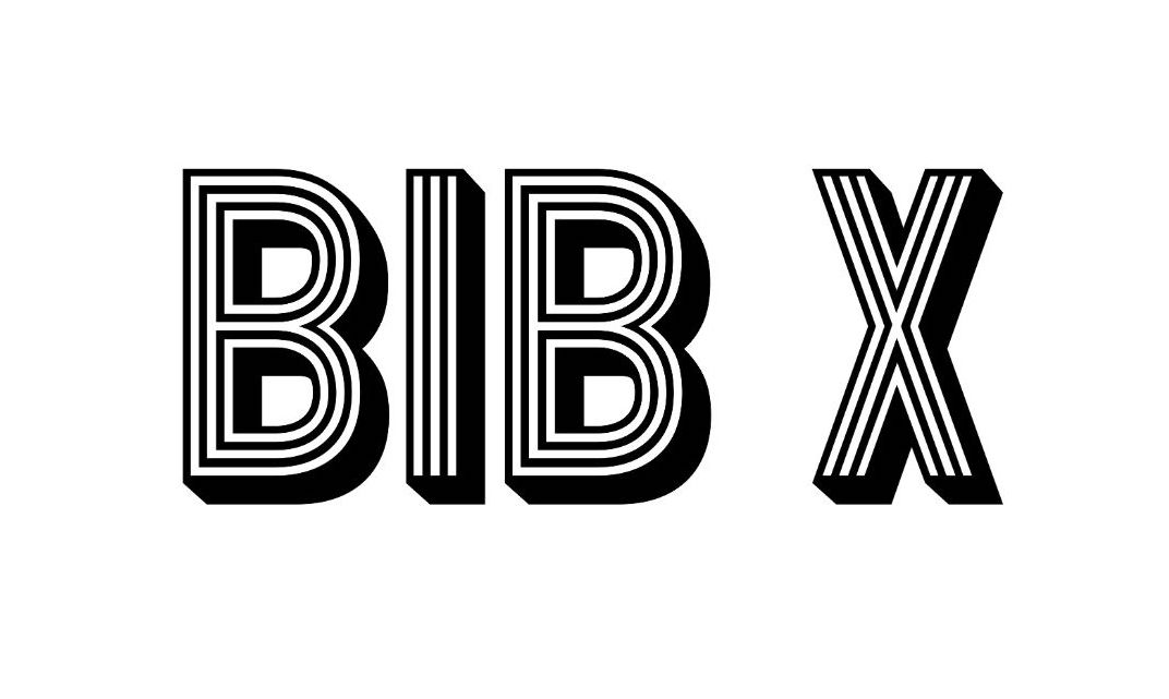 BIB X